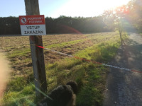 /album/fotogalerie149/997e9f13-cb08-4192-bbaa-ceb62f4033be-jpeg/